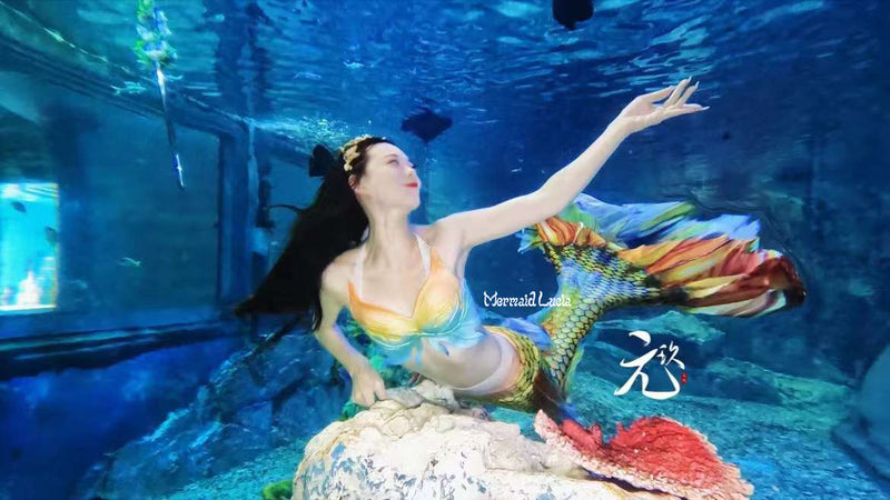Silicone Mermaid Bra Top (Cup Size A-B) – Mermaid Kat Shop