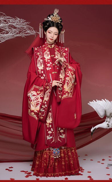 Traditional costume Ming Dynasty Standing collar embroidery Wedding Ch