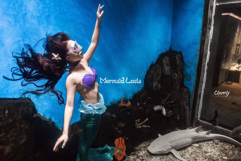 Mermaid Silicone Shell Bra Style 5 Little Mermaid Top - Mermaid Lucia