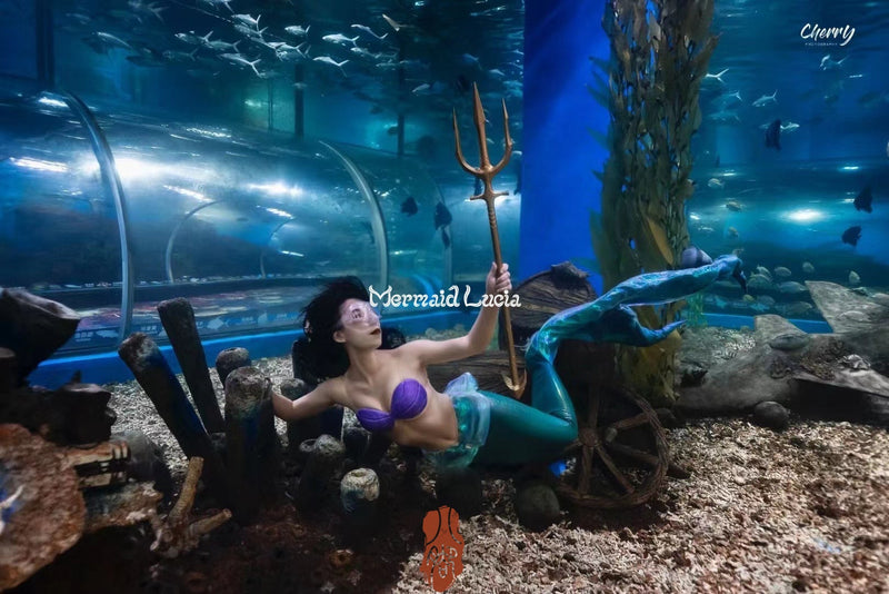 Mermaid Sea Shell Bra - The Mad Hatter
