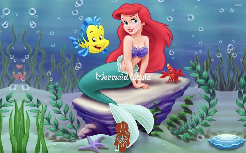 Mermaid Ariel Shell Bra Top Little Mermaid Seashell Bra Cosplay
